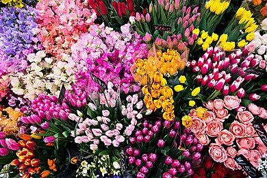 《Scriptorium》Steam页面上线 发售日待定